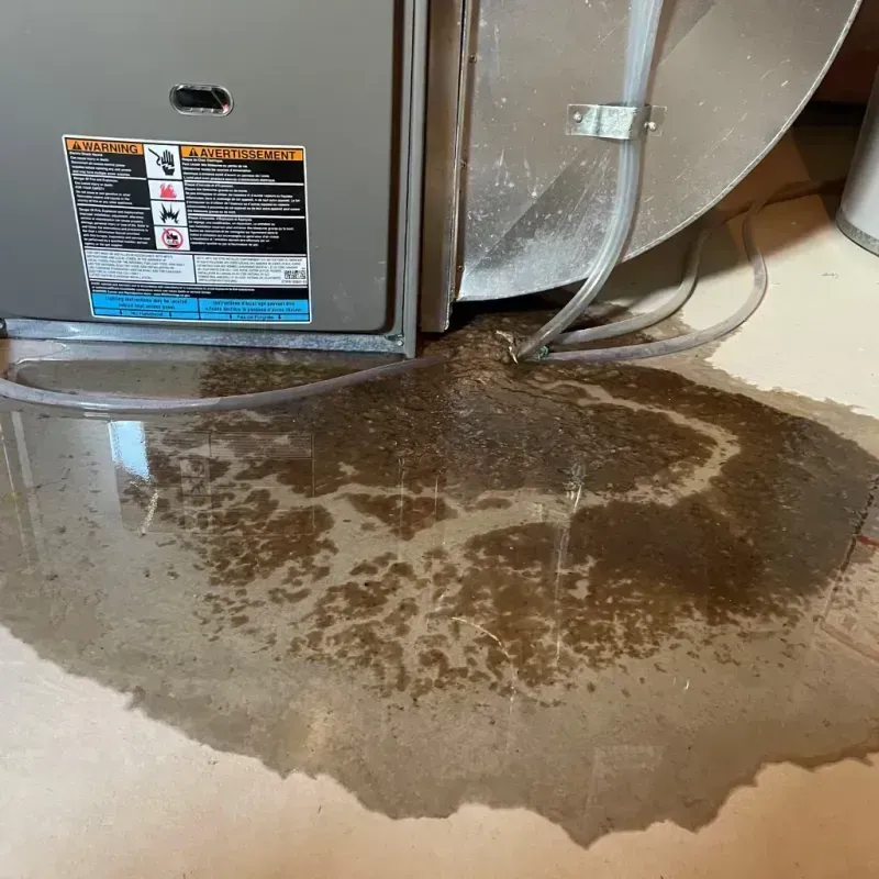 Appliance Leak Cleanup in Silver Springs, NV